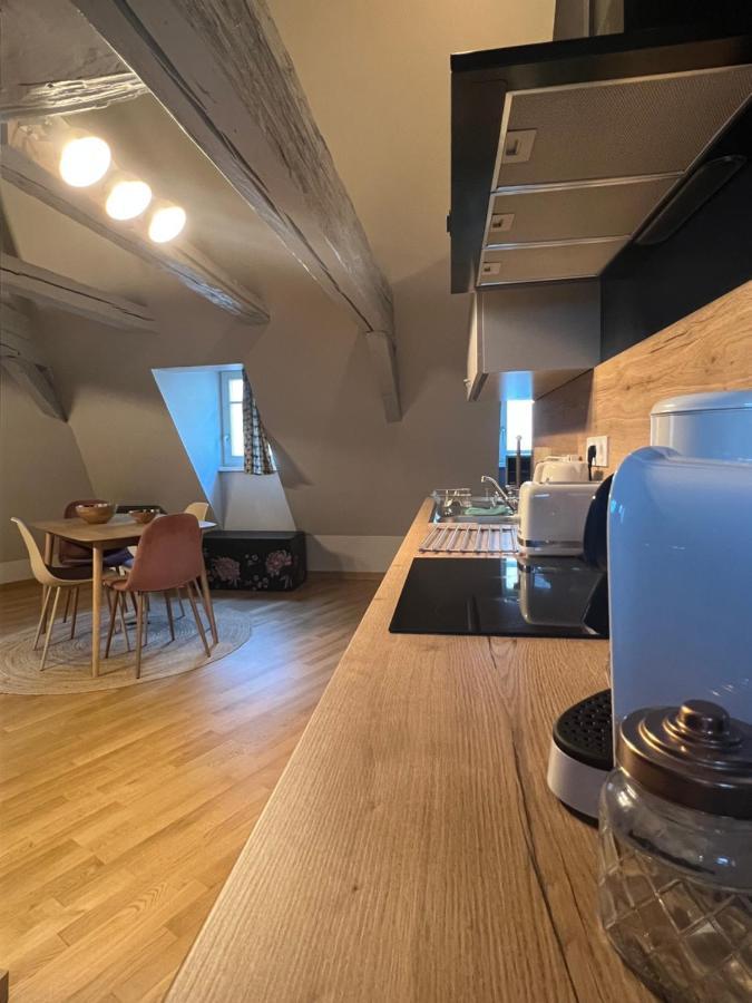 Appartement Duplex Atypique Au Coeur De Mulhouse Extérieur photo