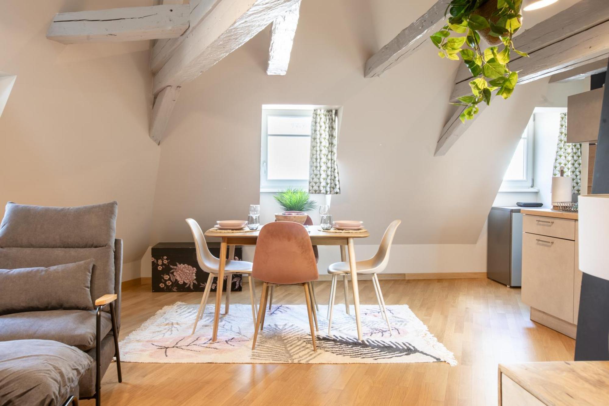 Appartement Duplex Atypique Au Coeur De Mulhouse Extérieur photo